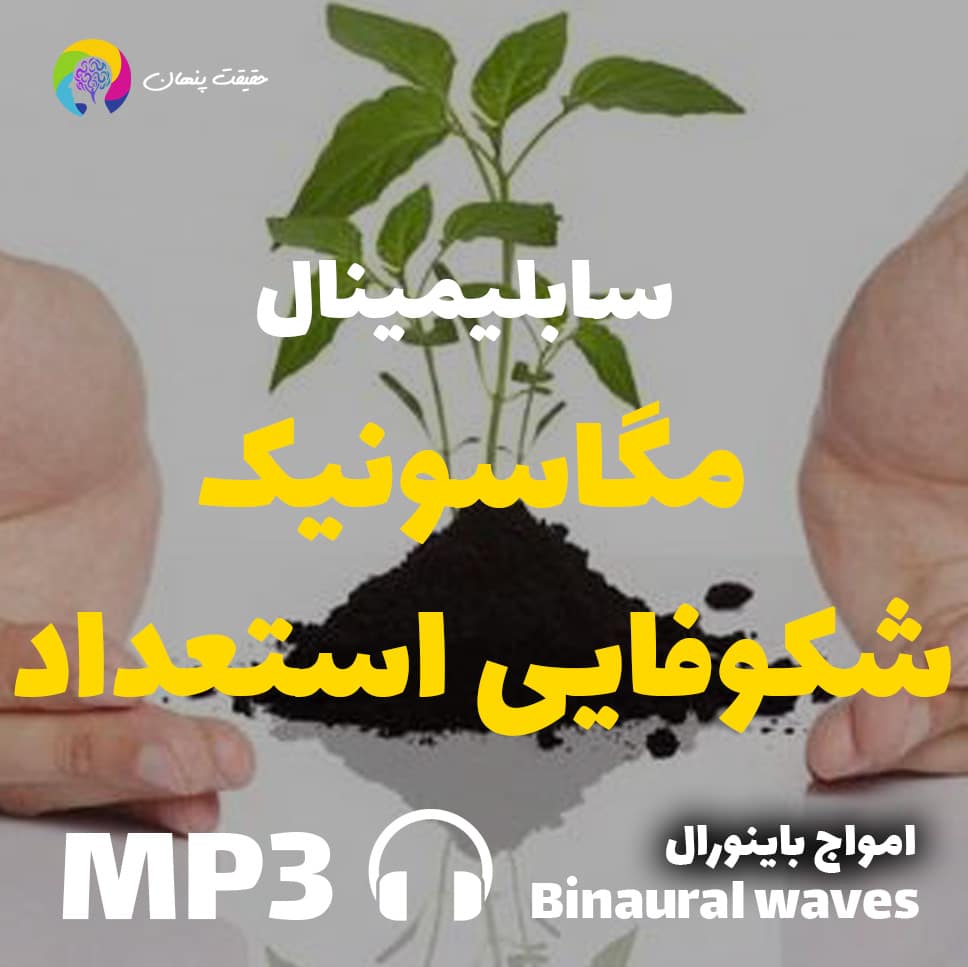 مگاسونیک شکوفایی استعداد