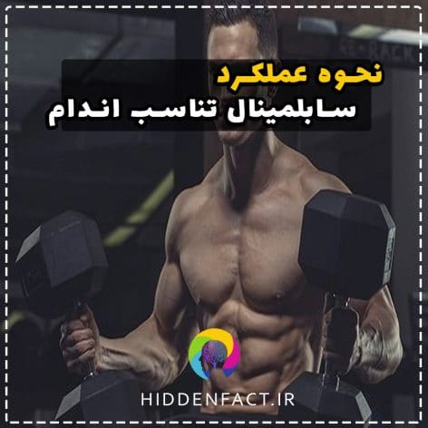 نحوه عملکرد سابلمینال تناسب اندام